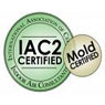 Black Mold Assessment
